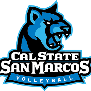 Team Page: Volleyball